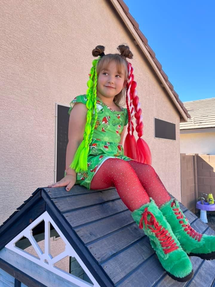 Grinch and Santa Braided Ponytail Set