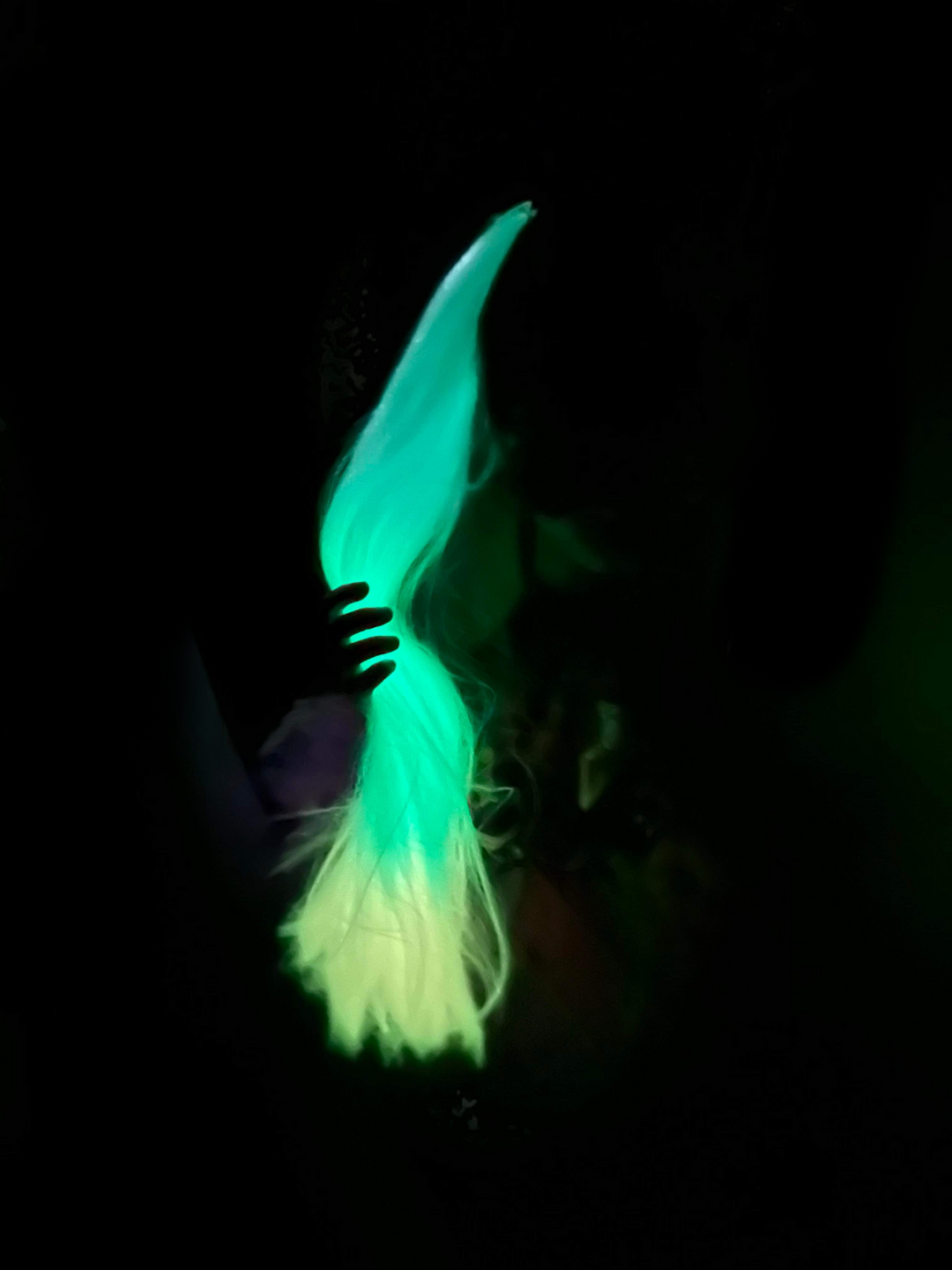 Moon Glow Tail